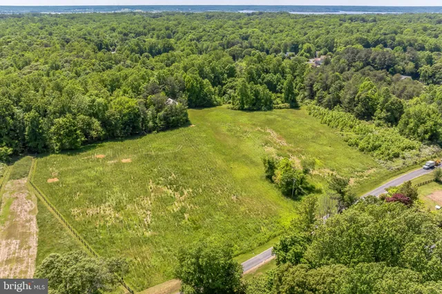 an aerial view of residential houses with outdoor space and trees