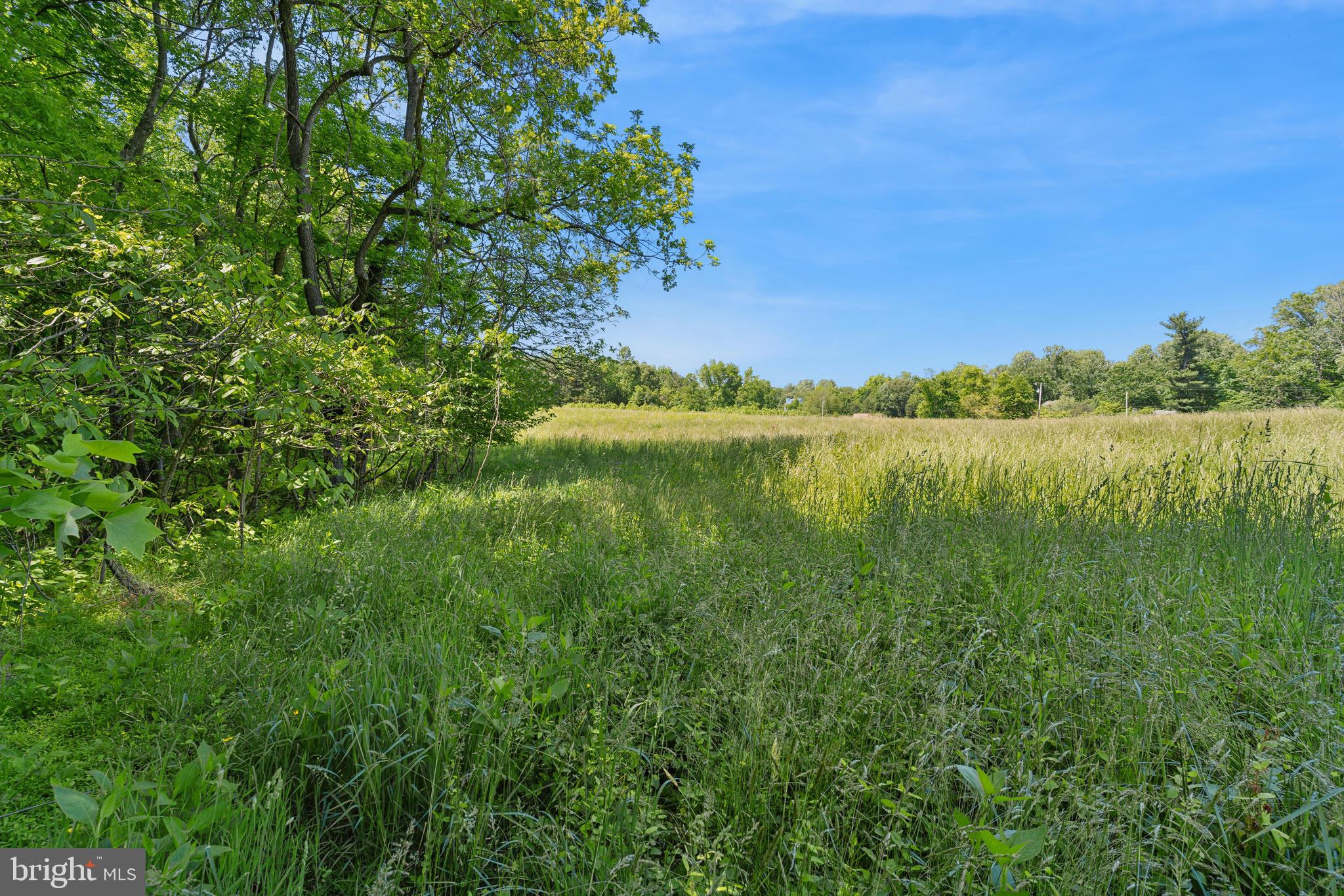 2195 Henry Hutchins Road Prince Frederick, MD 20678 - Photo 2 of 25 a view of lake and mountain view