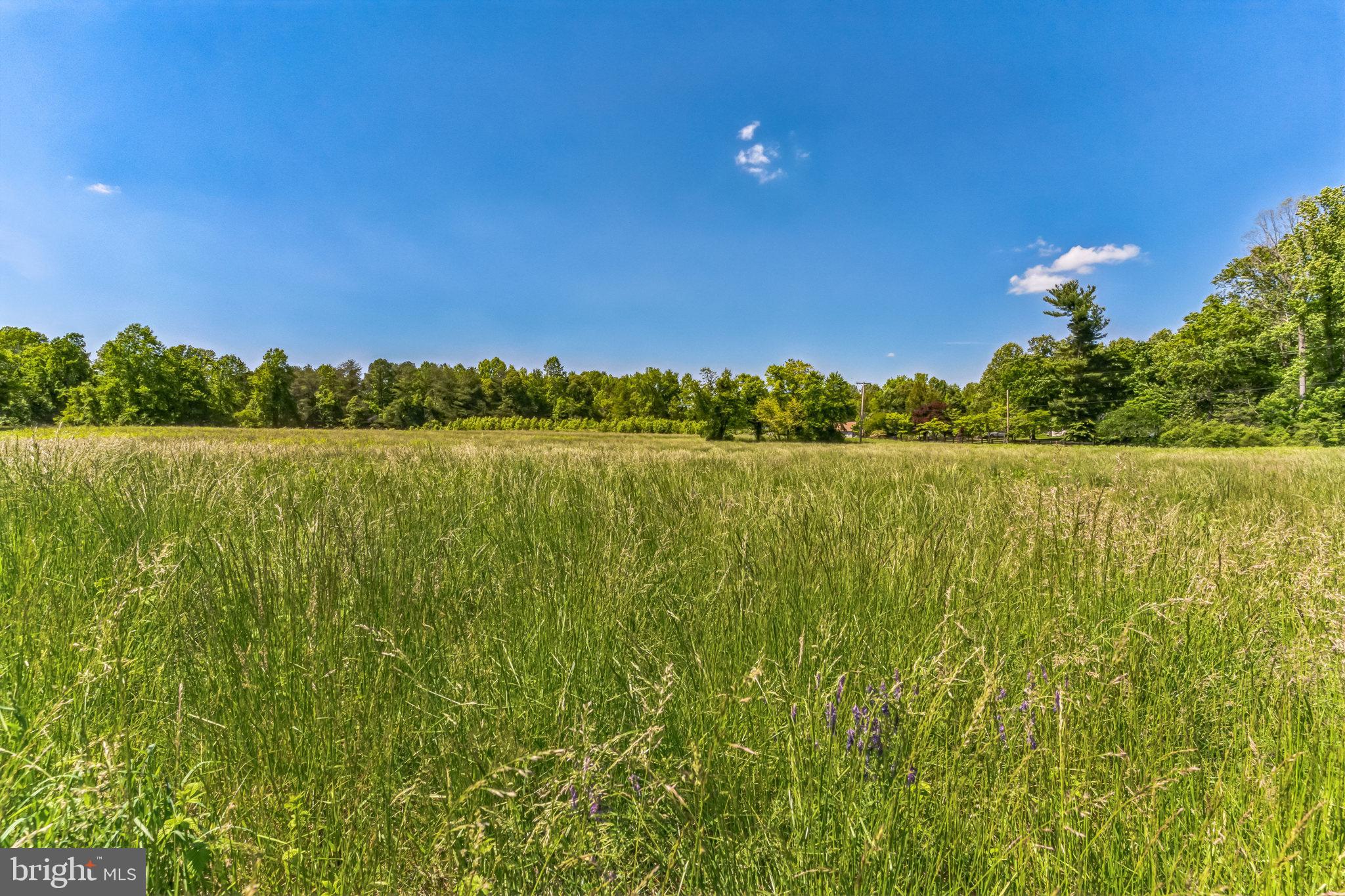 2195 Henry Hutchins Road Prince Frederick, MD 20678 - Photo 4 of 25 a view of lake and mountain view