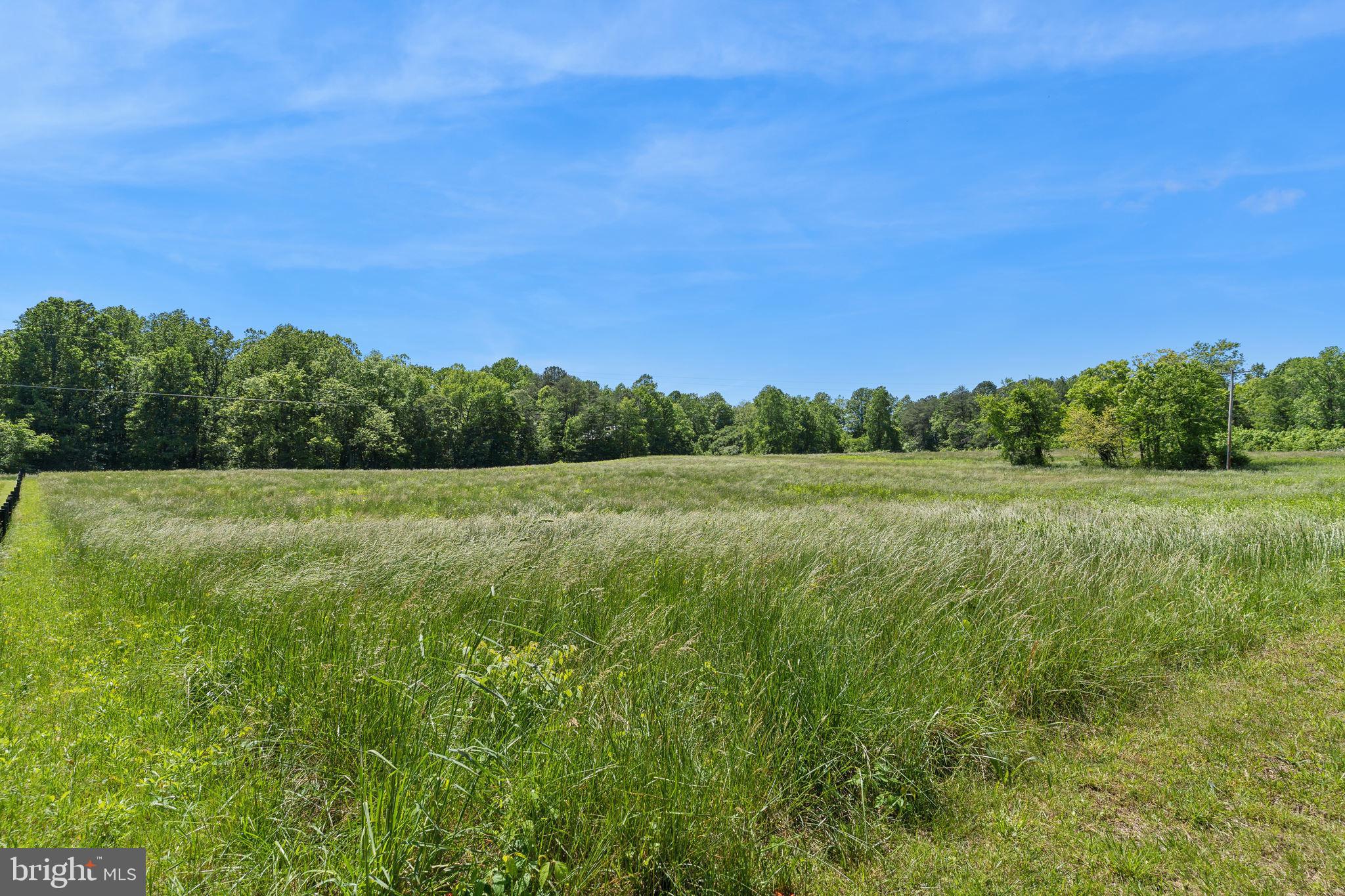 2195 Henry Hutchins Road Prince Frederick, MD 20678 - Photo 10 of 25 a view of a field with a tree in the background