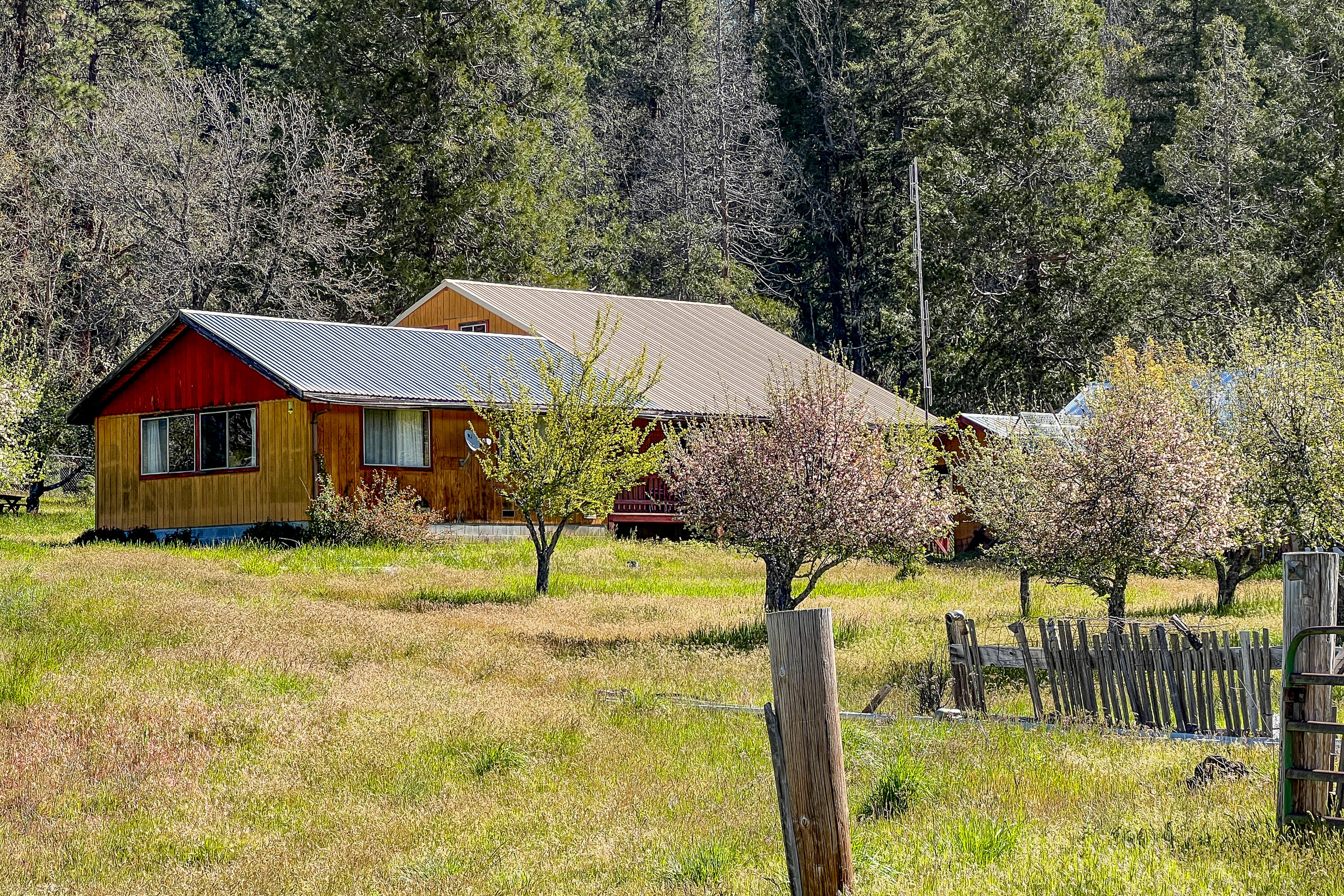 1040 Mullane Trail Big Bar, CA 96010 - Photo 13 of 49 a house with swimming pool in front of it