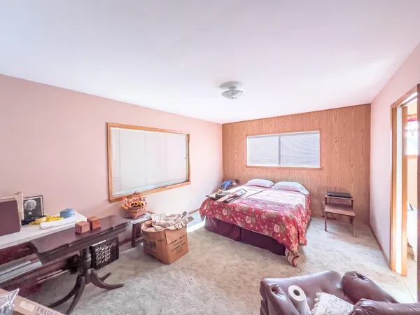 a view of a forest with trees