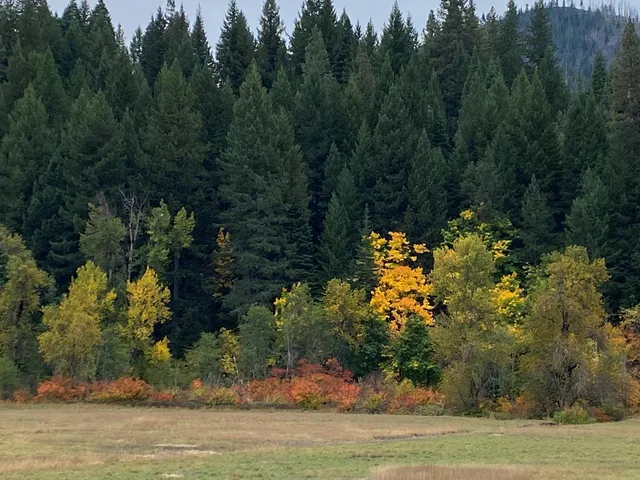 a swimming pool with wooden fence