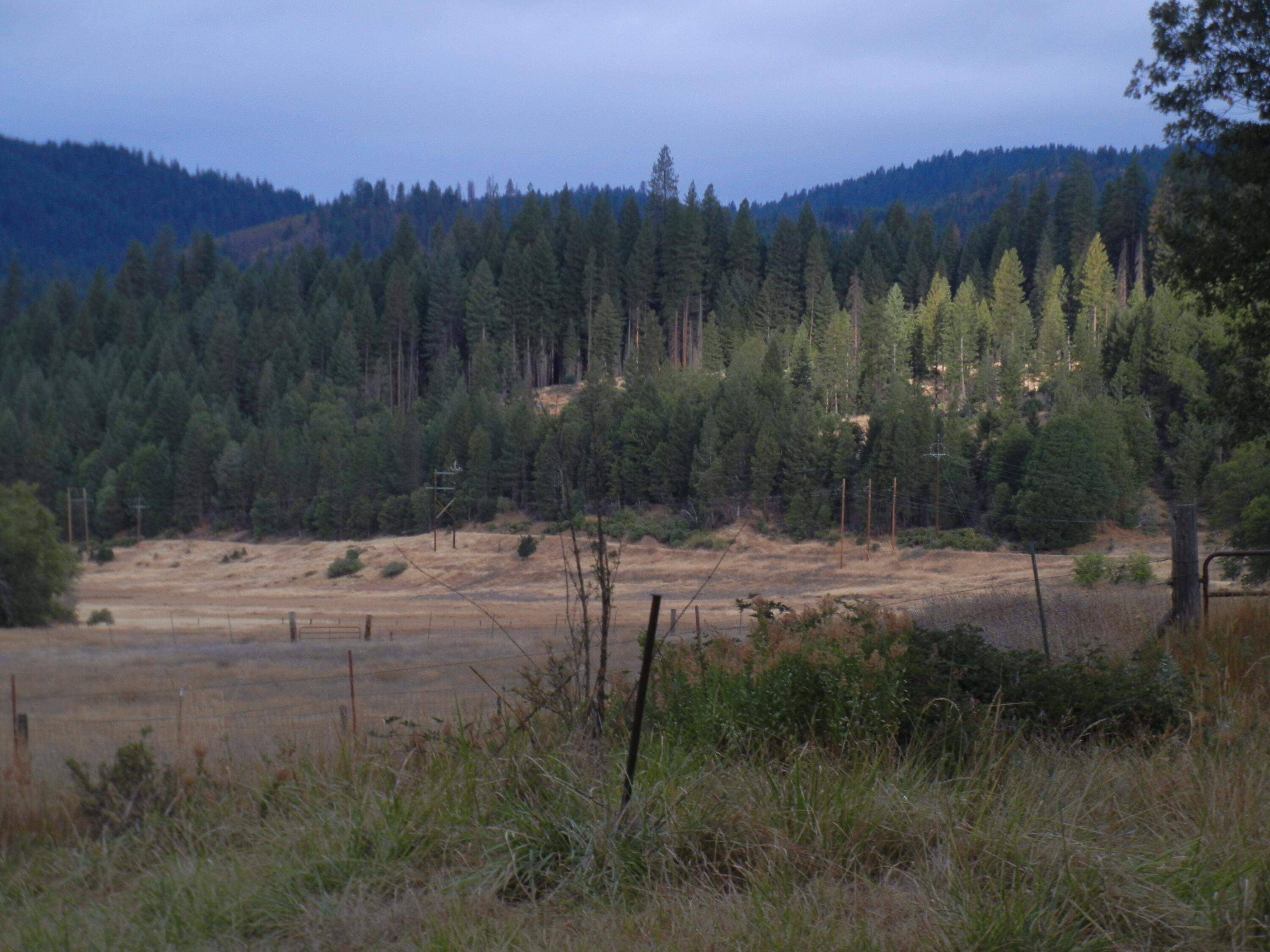 1040 Mullane Trail Big Bar, CA 96010 - Photo 28 of 49 22