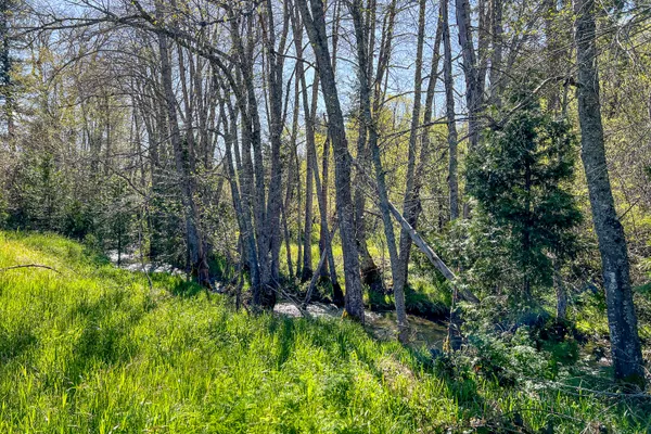 $1,099,000 | 1040 Mullane Trail, Big Bar, CA 96010