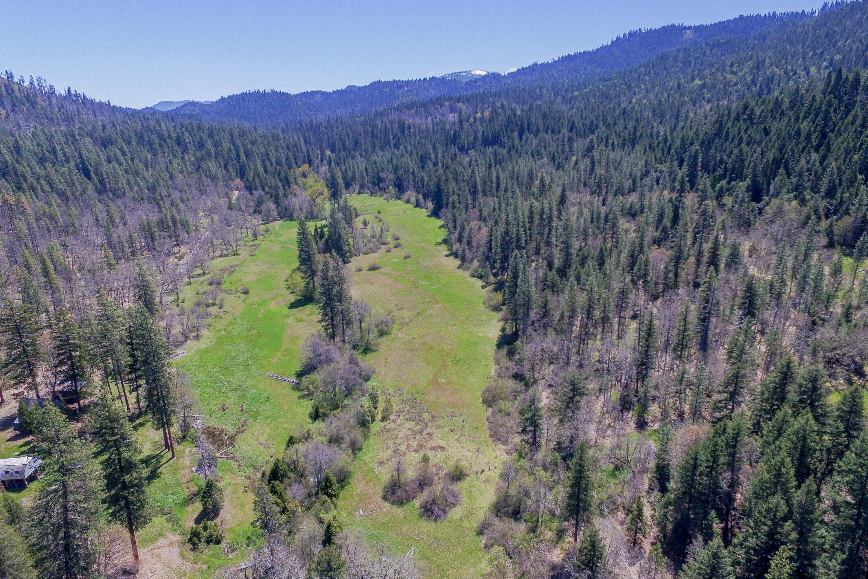 1040 Mullane Trail Big Bar, CA 96010 - Photo 34 of 49 Upper Meadow