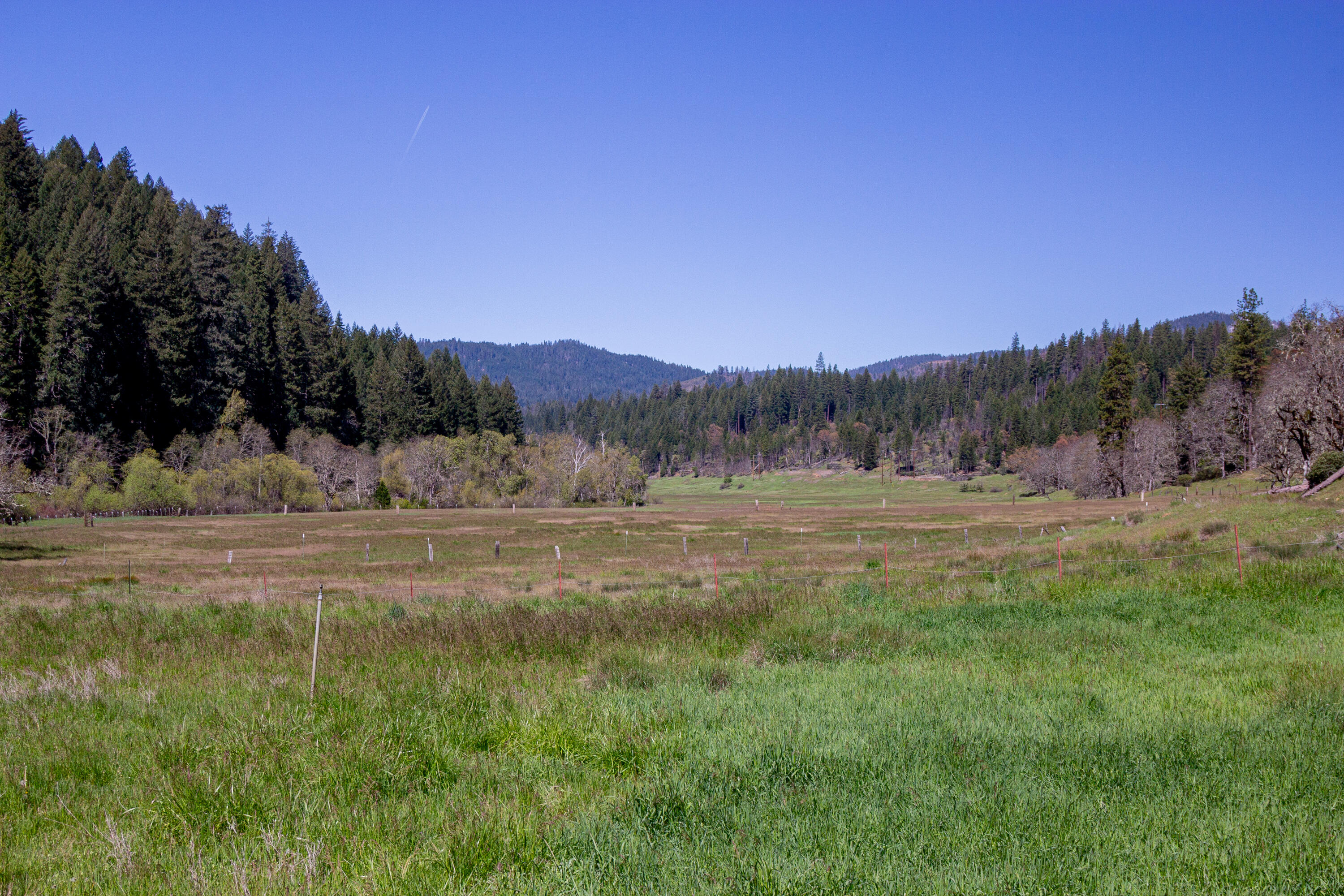 1040 Mullane Trail Big Bar, CA 96010 - Photo 37 of 49 a view of mountain view with lots of green space