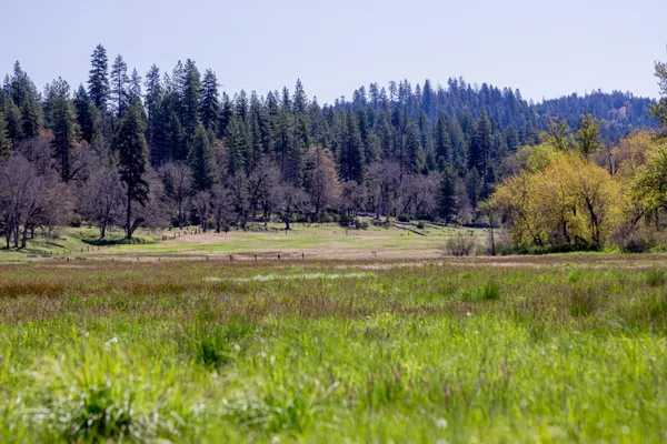 $1,099,000 | 1040 Mullane Trail, Big Bar, CA 96010