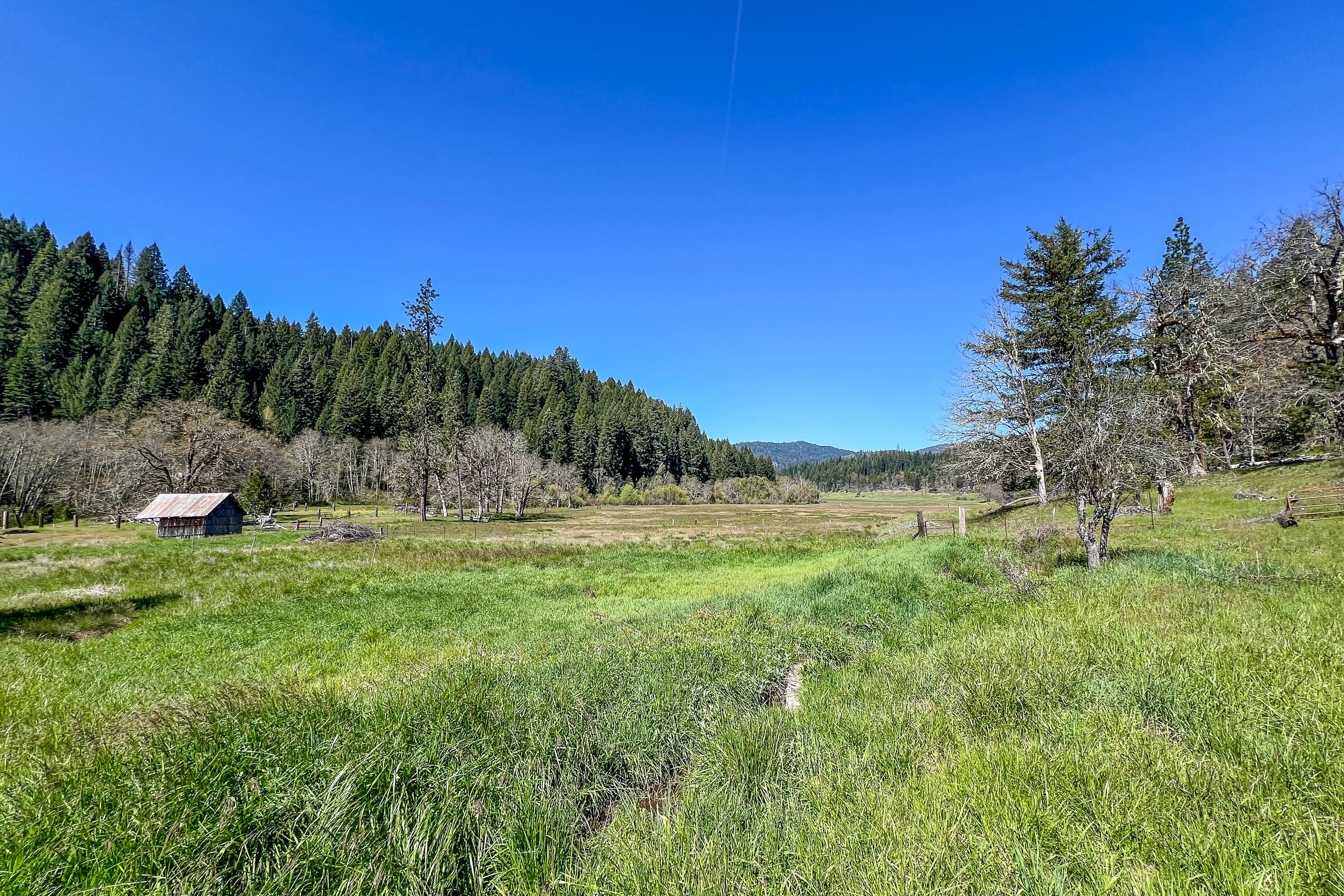 1040 Mullane Trail Big Bar, CA 96010 - Photo 39 of 49 a view of a field of a building