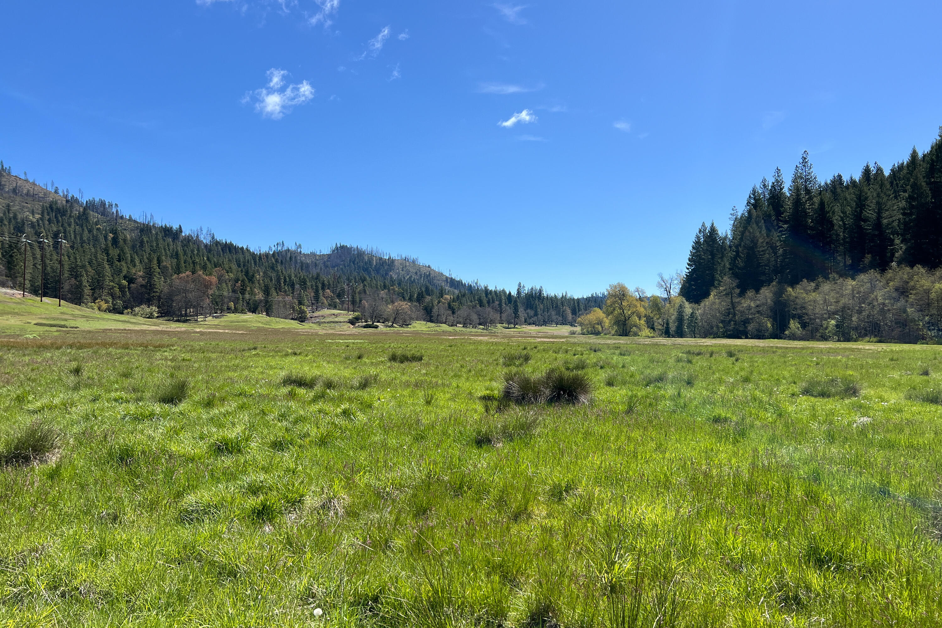 1040 Mullane Trail Big Bar, CA 96010 - Photo 41 of 49 Meadow 5