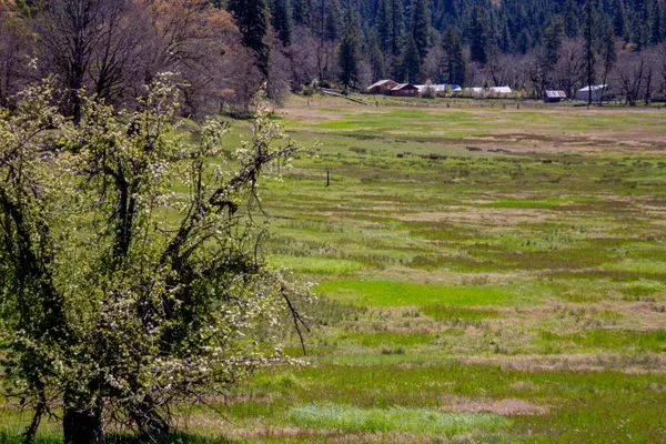 $1,099,000 | 1040 Mullane Trail, Big Bar, CA 96010