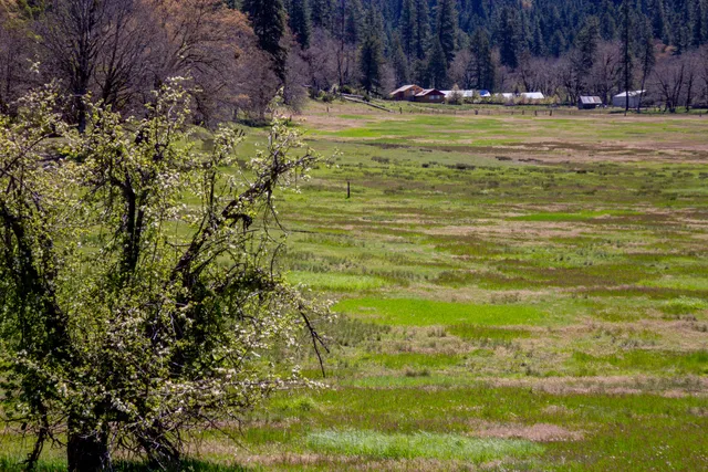 $1,099,000 | 1040 Mullane Trail, Big Bar, CA 96010