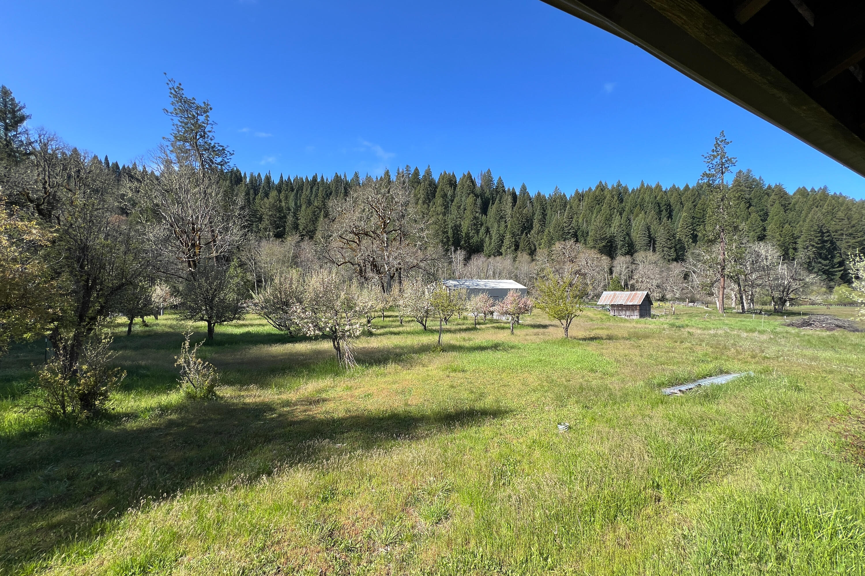 1040 Mullane Trail Big Bar, CA 96010 - Photo 46 of 49 a view of a lake with houses in the background
