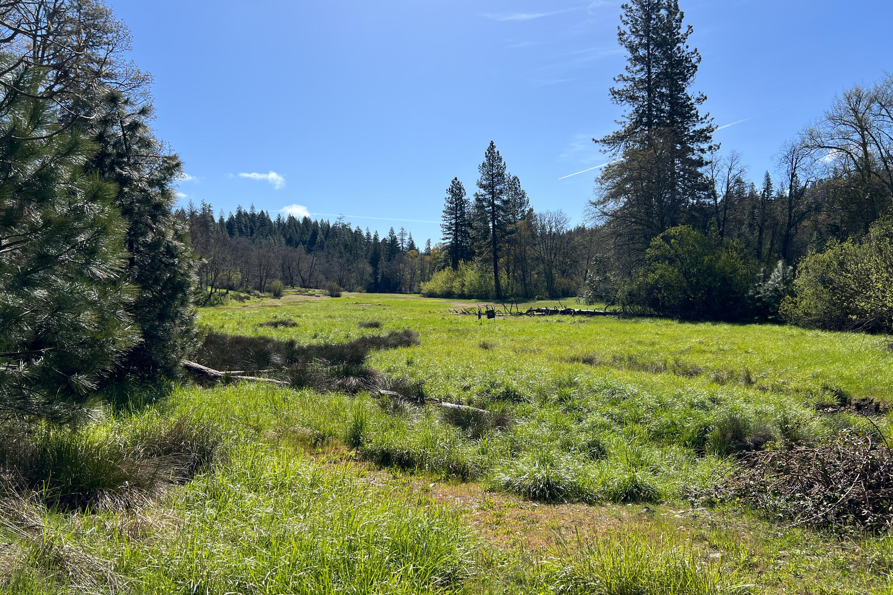 1040 Mullane Trail Big Bar, CA 96010 - Photo 49 of 49 a view of a lush green space