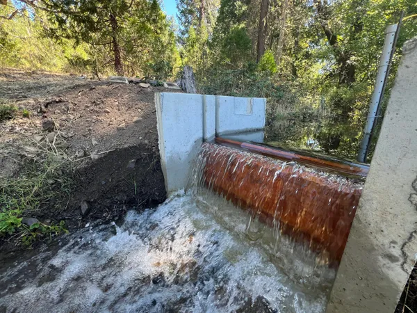 a view of swimming pool is middle in the garden