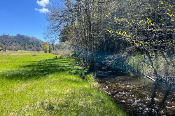 a view of yard with swimming pool and green space