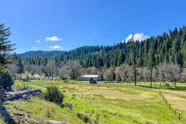 a view of a grassy area with an ocean and trees