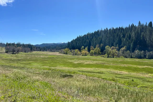 a view of a swimming pool with lawn chairs and plants