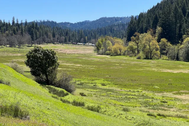 a house with swimming pool in front of it