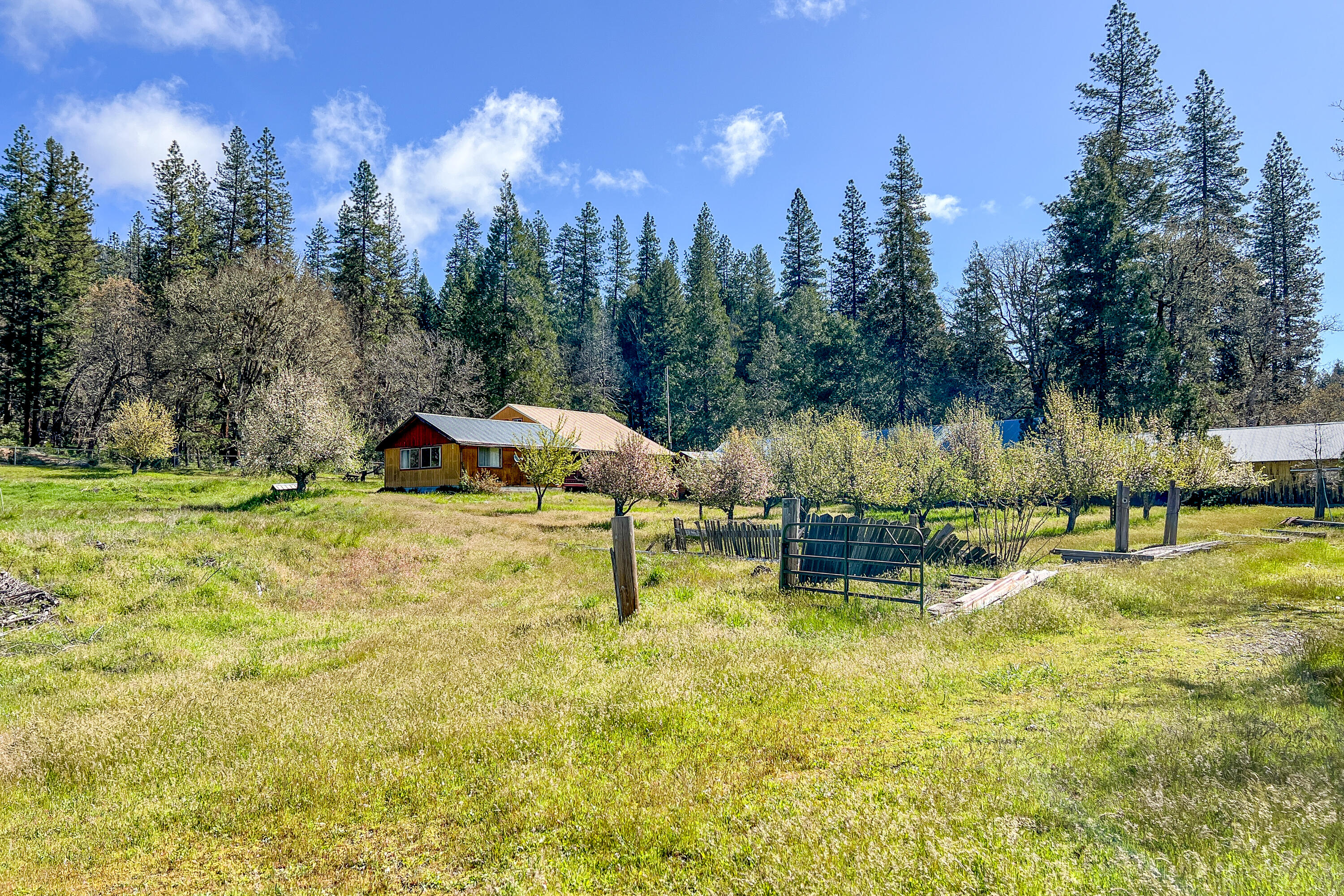 1040 Mullane Trail Big Bar, CA 96010 - Photo 10 of 49 a view of a swimming pool with lawn chairs and plants