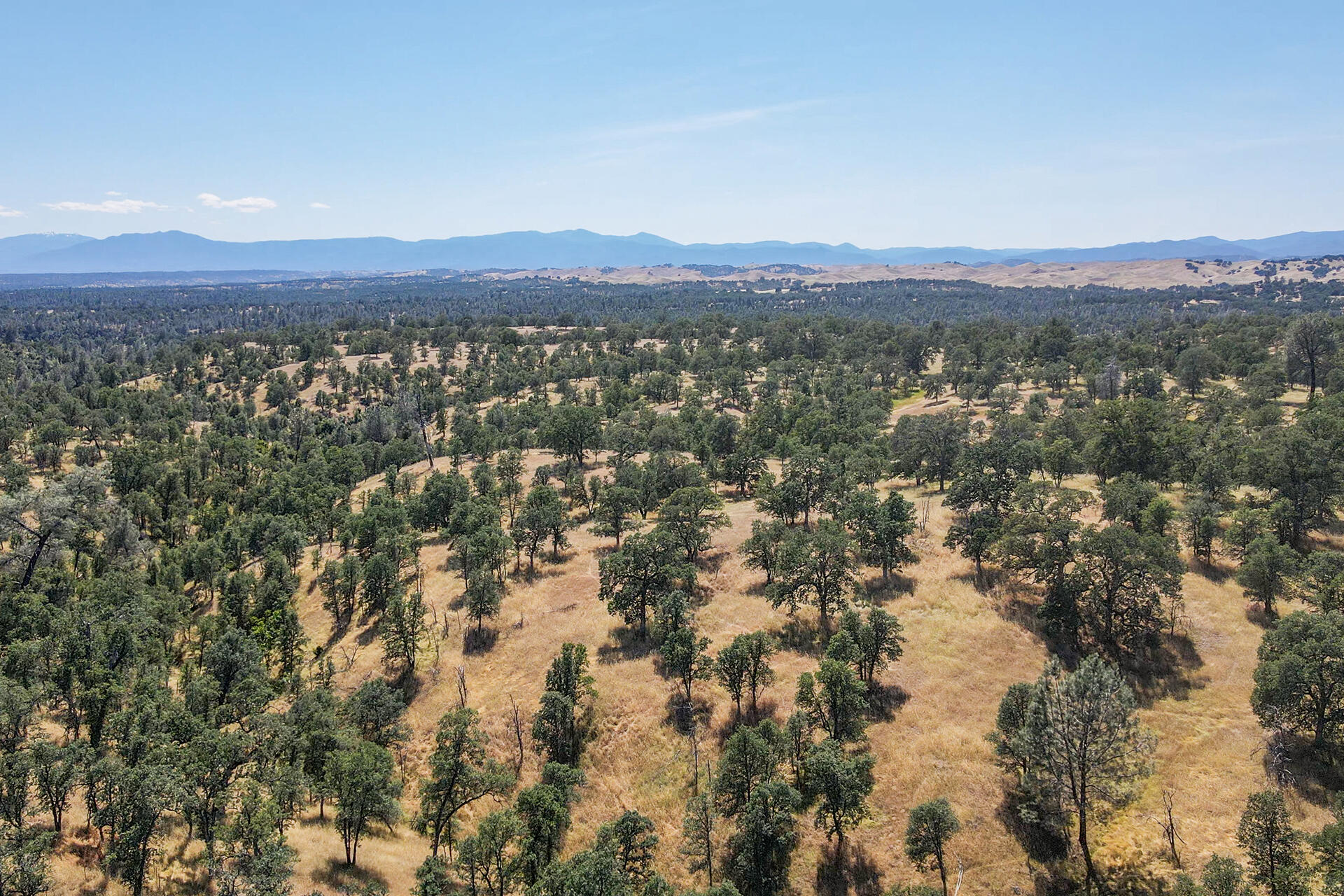 13575 Gas Point Road Igo, CA 96047 - Photo 54 of 59 Drone Photo