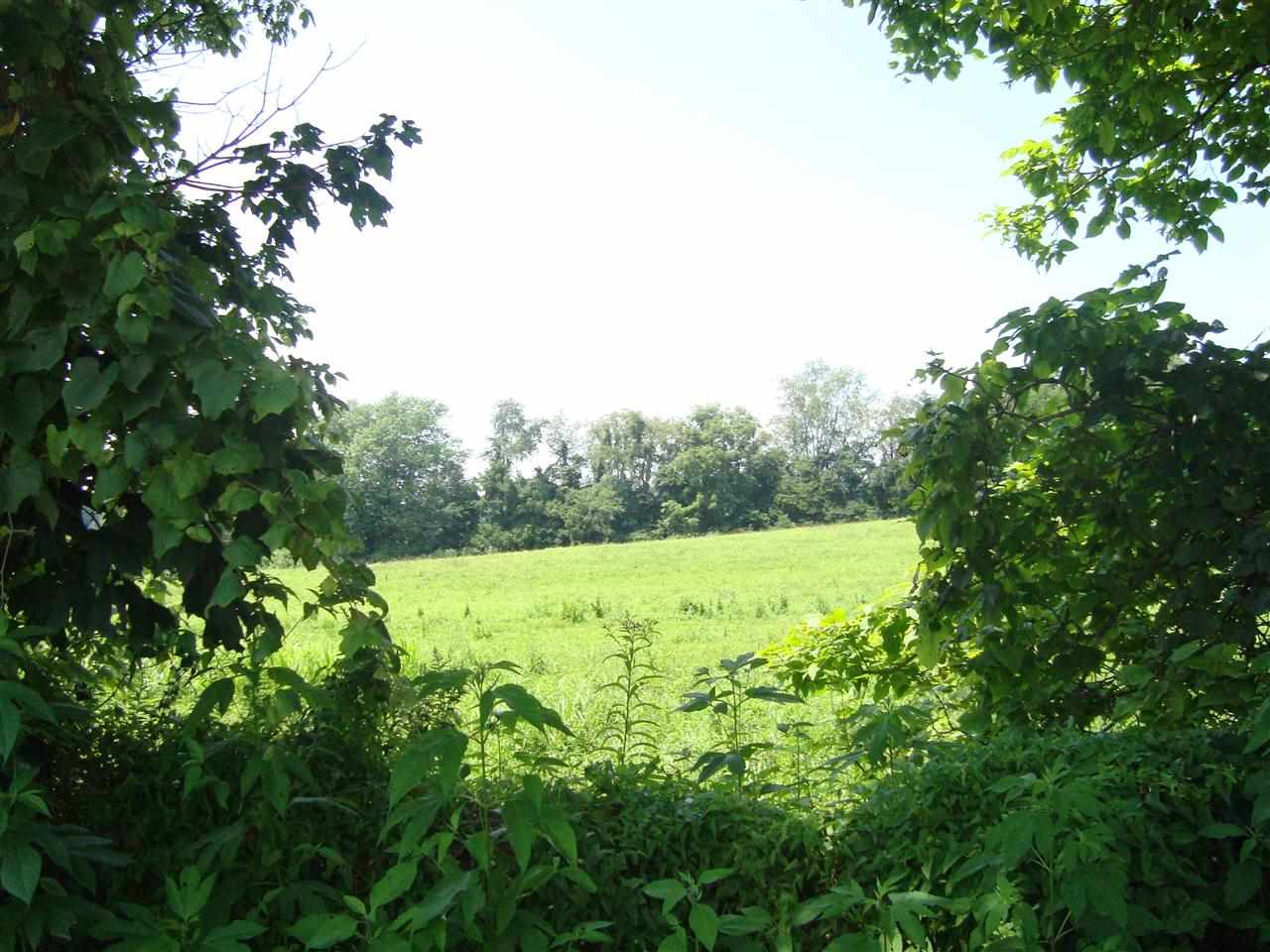 319 Old Farm Road Bedford, IN 47421 - Photo 12 of 18 Gallery Image 12
