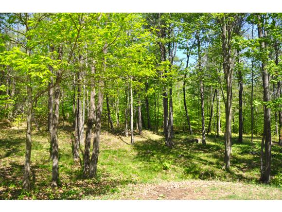 56 Stacy Hill Road Antrim, NH 03440 - Photo 22 of 24 Gallery Image 22