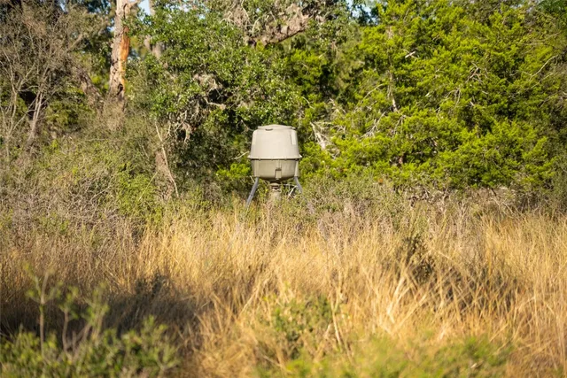 $994,000 | 358 Cornelius Road, Utopia, TX 78884