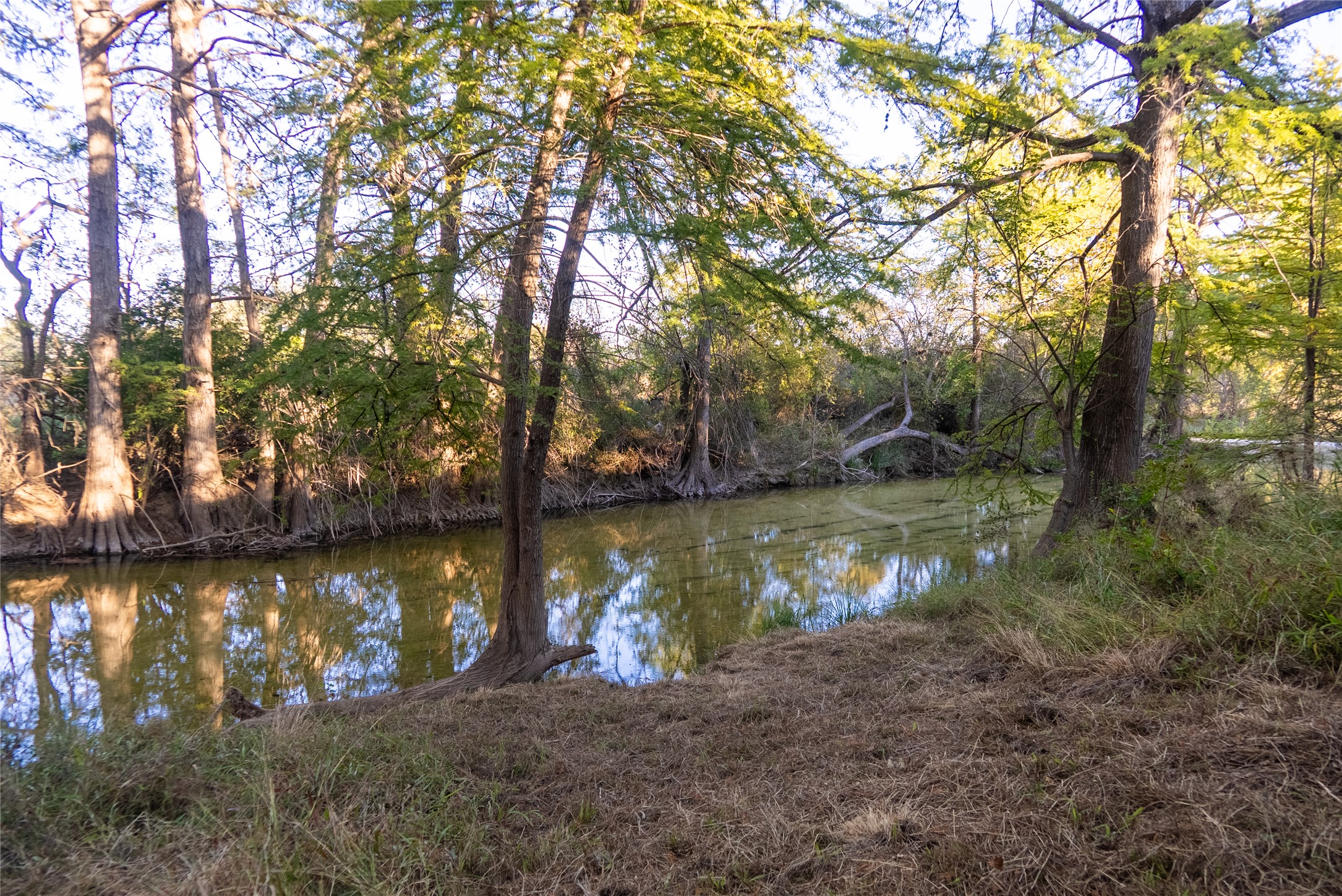 358 Cornelius Road Utopia, TX 78884 - Photo 28 of 33 a view of lake with green space