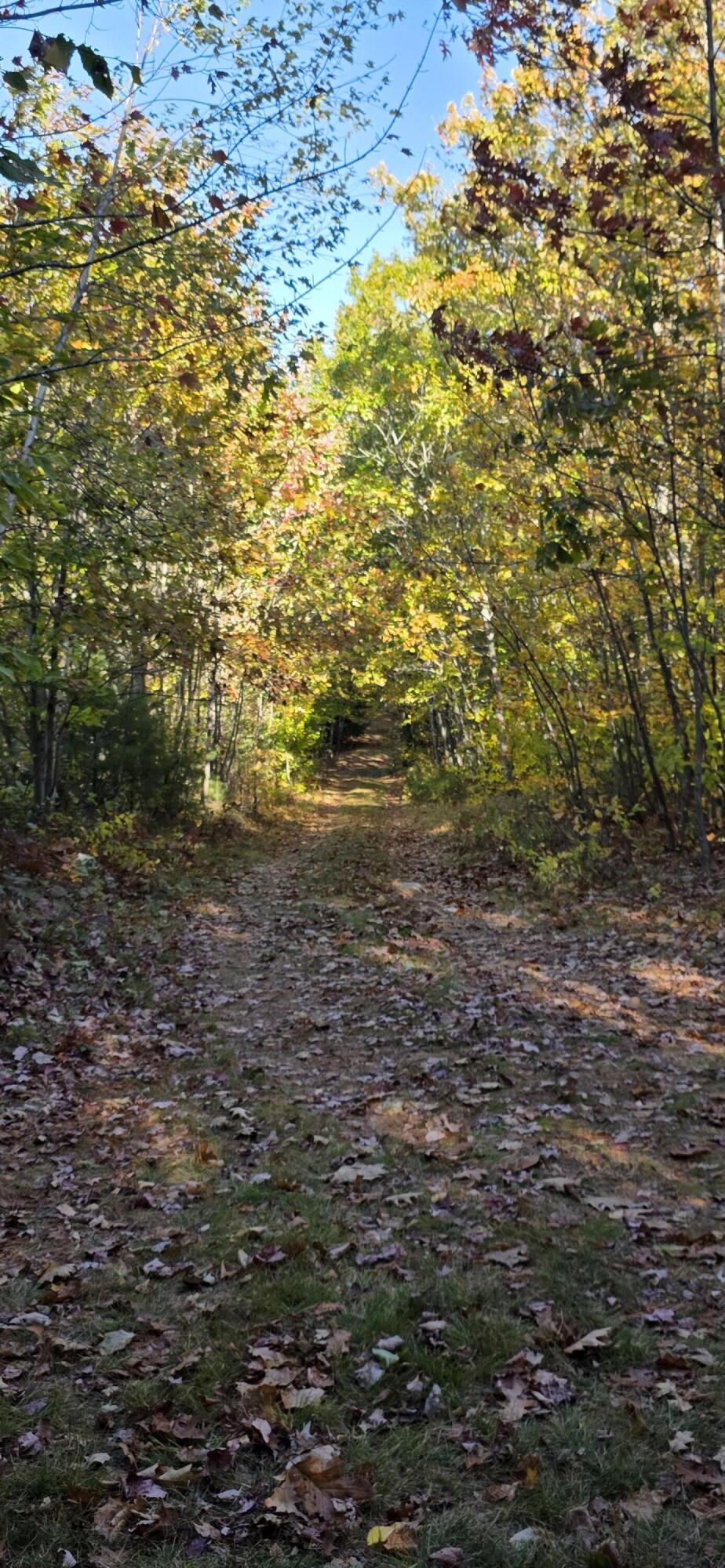 07-09a Brett Hill Road South Paris, ME 04281 - Photo 21 of 24 20251017_152256