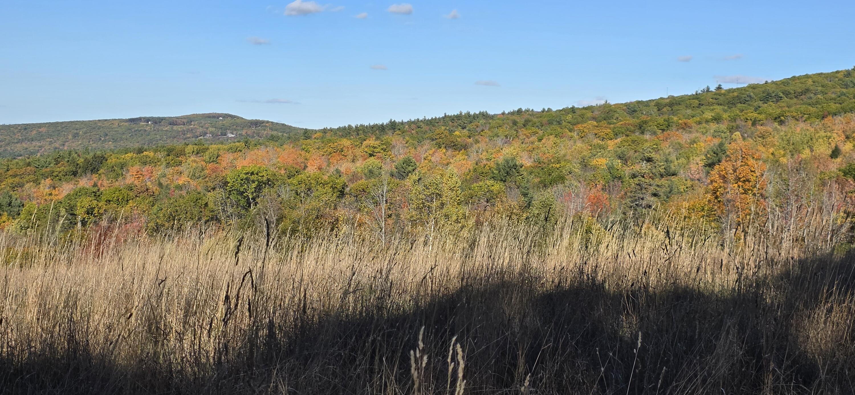 07-09a Brett Hill Road South Paris, ME 04281 - Photo 6 of 24 20251017_151817