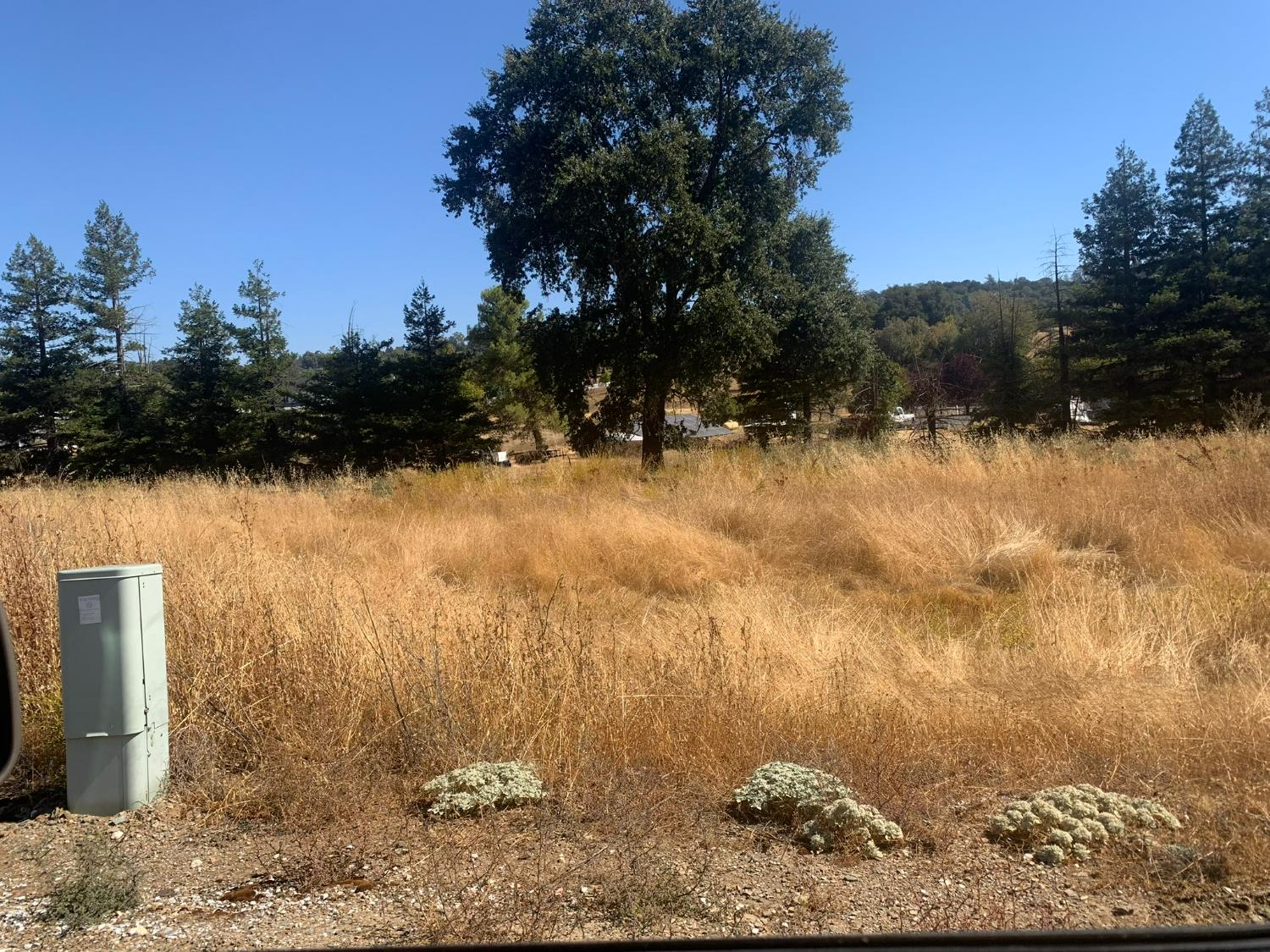5960 South Shingle Road Shingle Springs, CA 95682 - Photo 3 of 16 a view of a yard