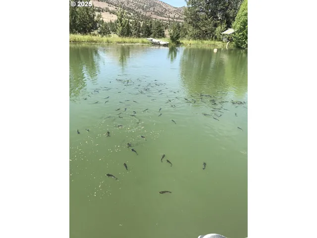 a view of a lush green field
