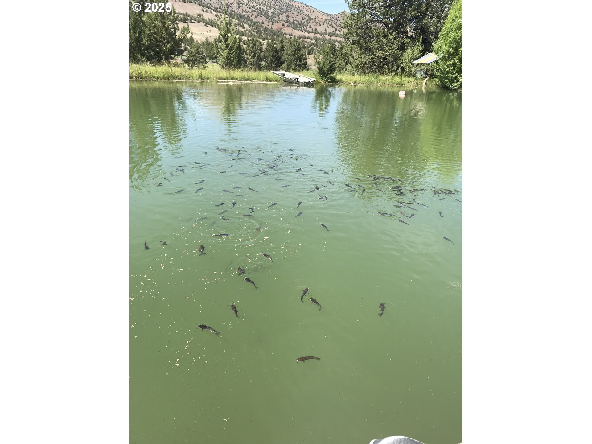 33817 Gage Road Mitchell, OR 97750 - Photo 41 of 48 a view of a lake view