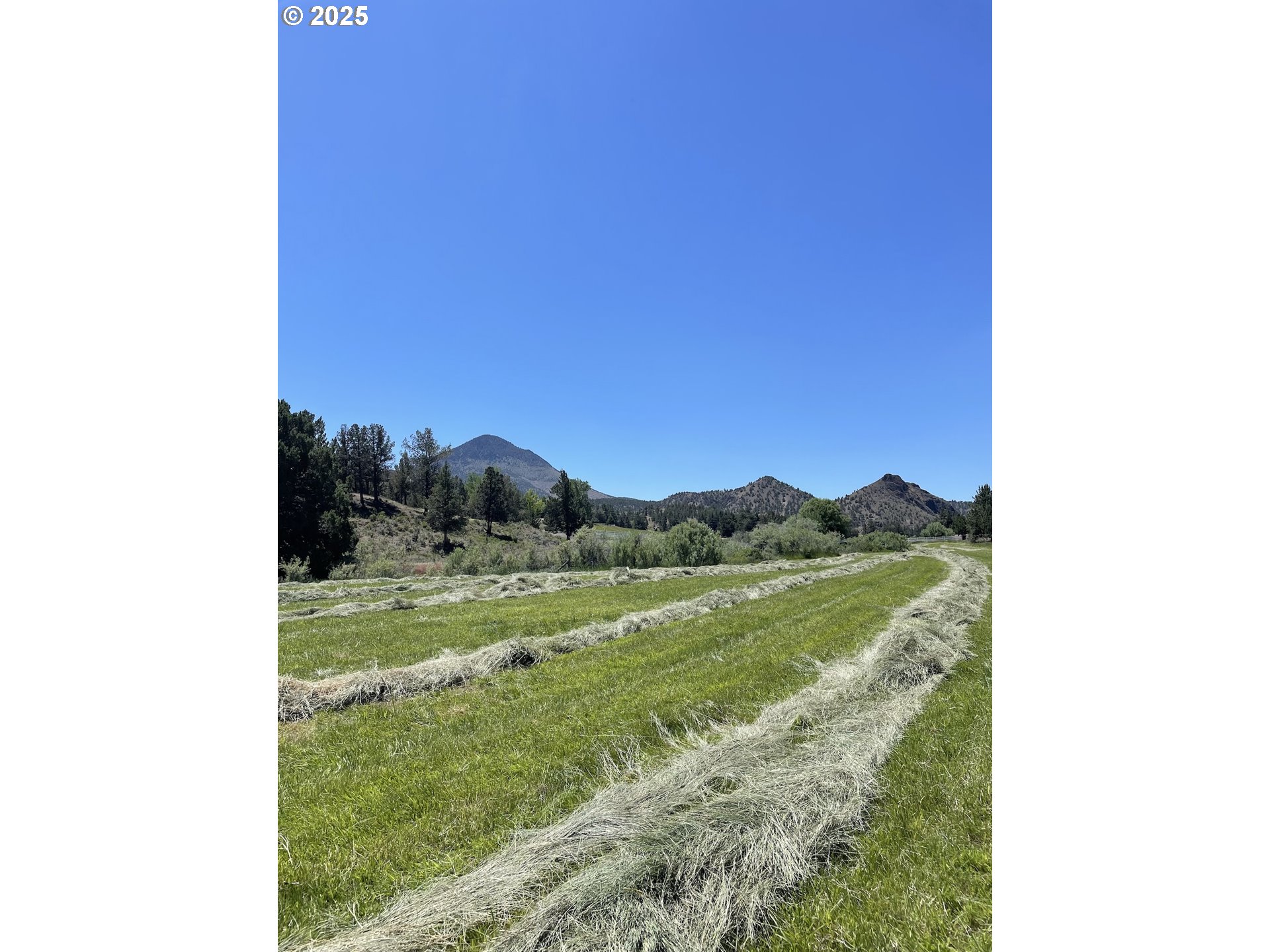 33817 Gage Road Mitchell, OR 97750 - Photo 42 of 48 a view of a lush green field