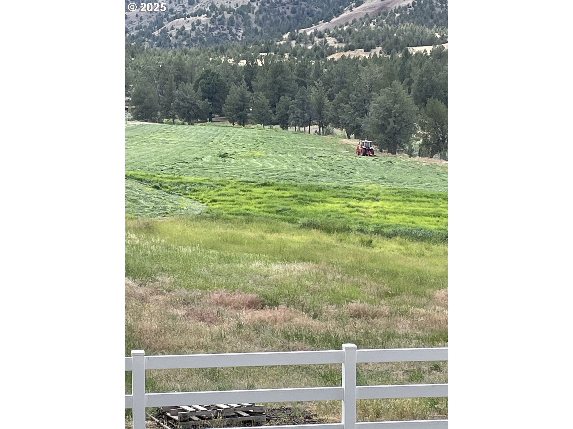 33817 Gage Road Mitchell, OR 97750 - Photo 43 of 48 a view of a yard