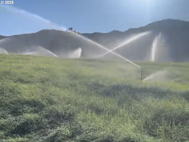 a view of a yard with table and chairs
