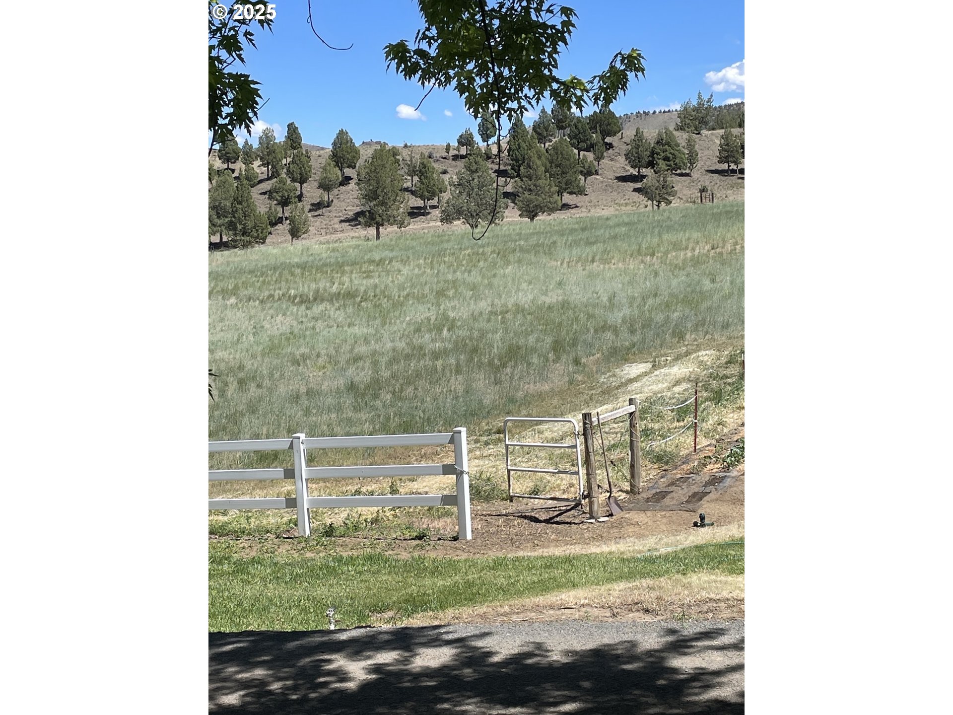 33817 Gage Road Mitchell, OR 97750 - Photo 47 of 48 a view of a yard with table and chairs