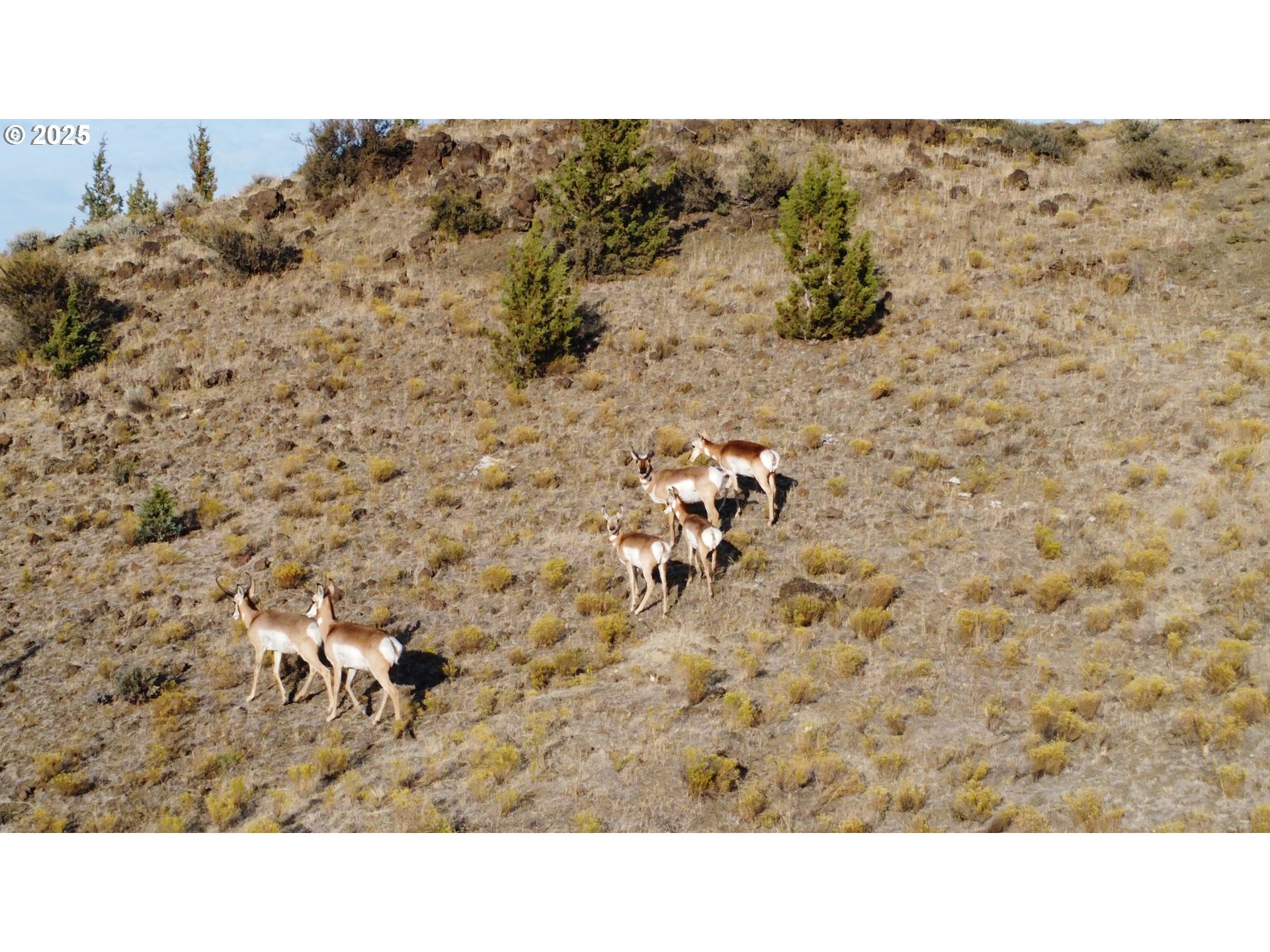 33817 Gage Road Mitchell, OR 97750 - Photo 48 of 48