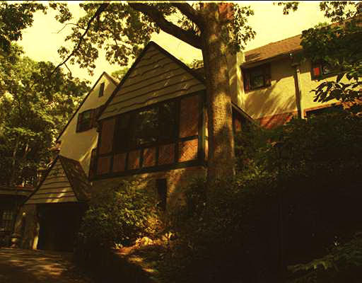 a view of back yard of the house