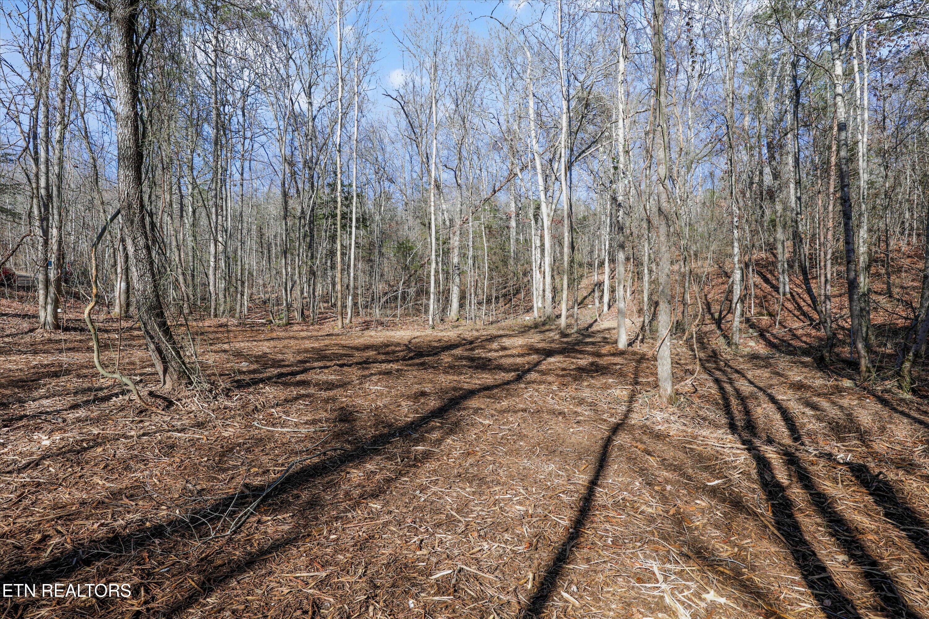 Sunrise Lane Decatur, TN 37322 - Photo 4 of 15 15-248 Sunrise Ln04