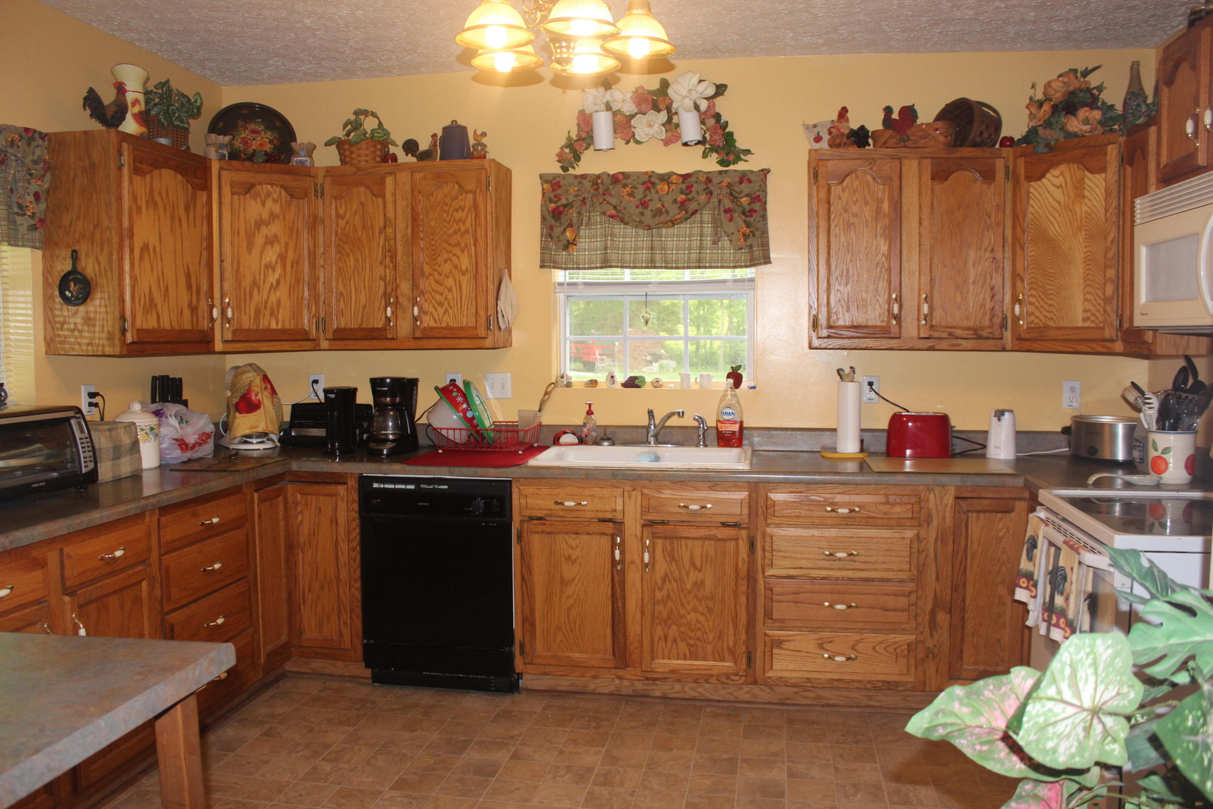 482 Aaron Baird Road Pioneer, TN 37847 - Photo 12 of 26 482 aaron baird 12
