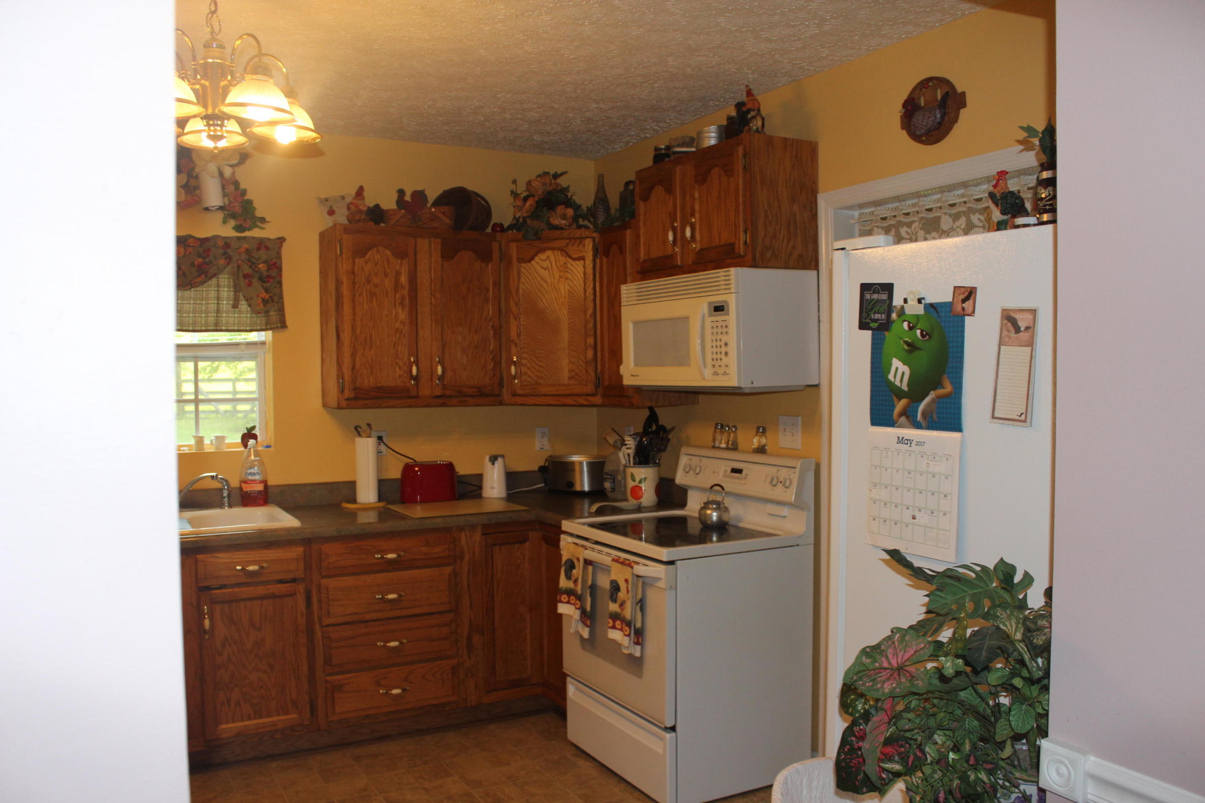 482 Aaron Baird Road Pioneer, TN 37847 - Photo 13 of 26 482 aaron baird 13