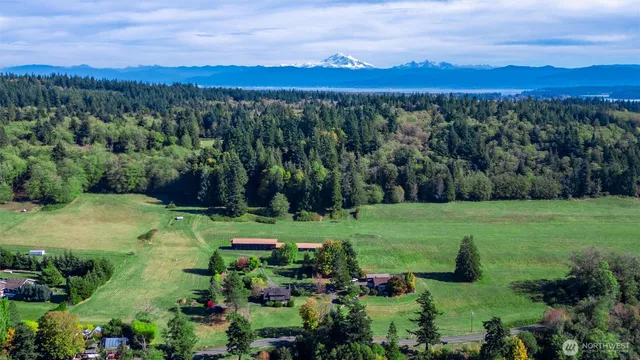 a view of a chairs and table in the garden