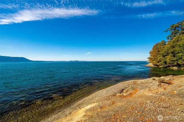 a view of a garden with lawn chairs under an umbrella