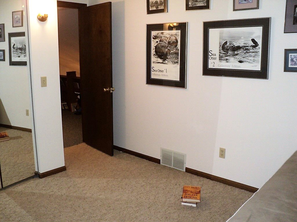 4289 South Fox Run Remus, MI 49340 - Photo 24 of 45 1835413-23.JPG