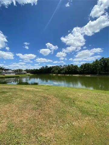 a view of a lake from a yard