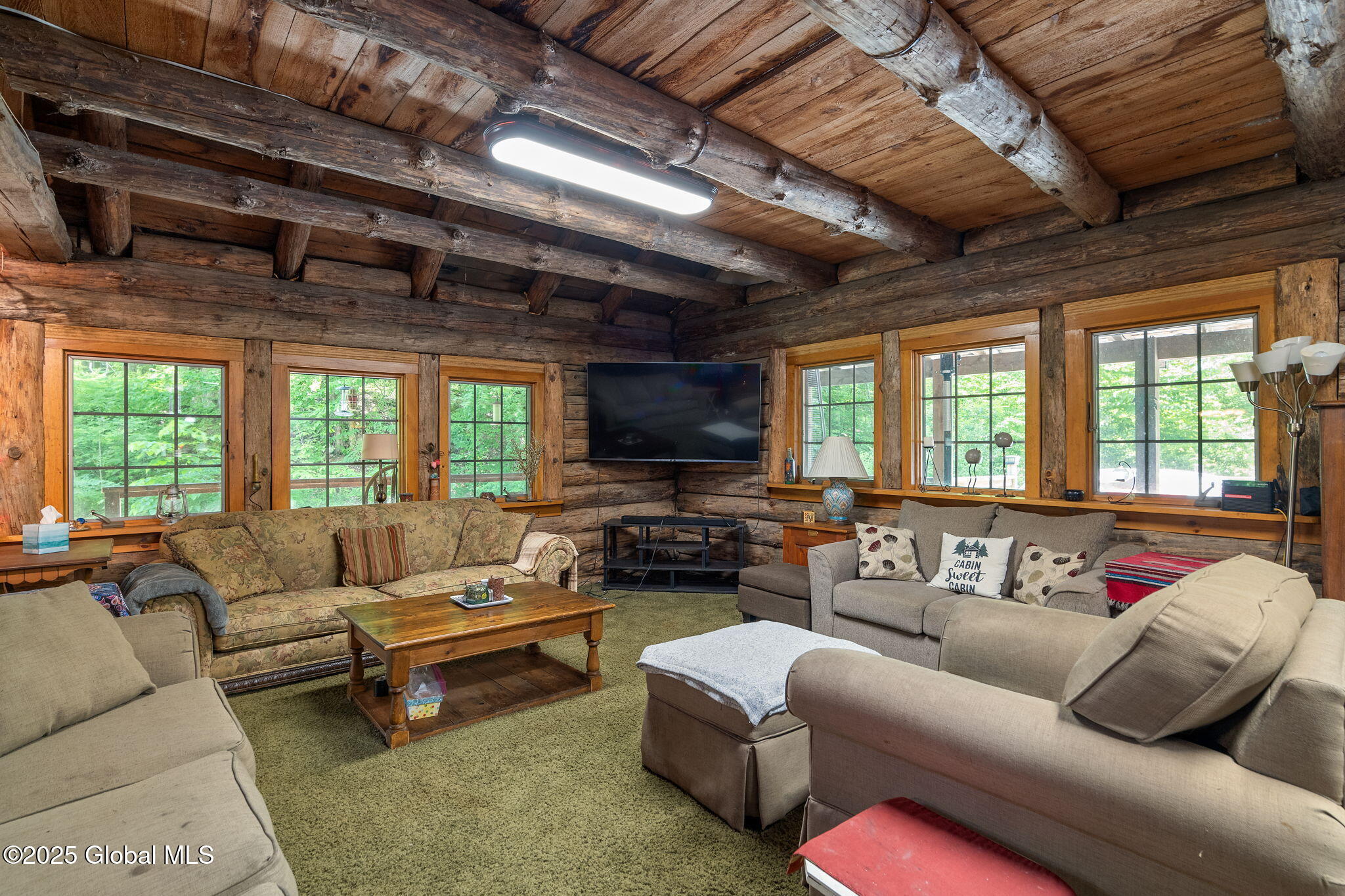 207 Dyer Road Jefferson, NY 12093 - Photo 11 of 56 15-207DyerRd_15