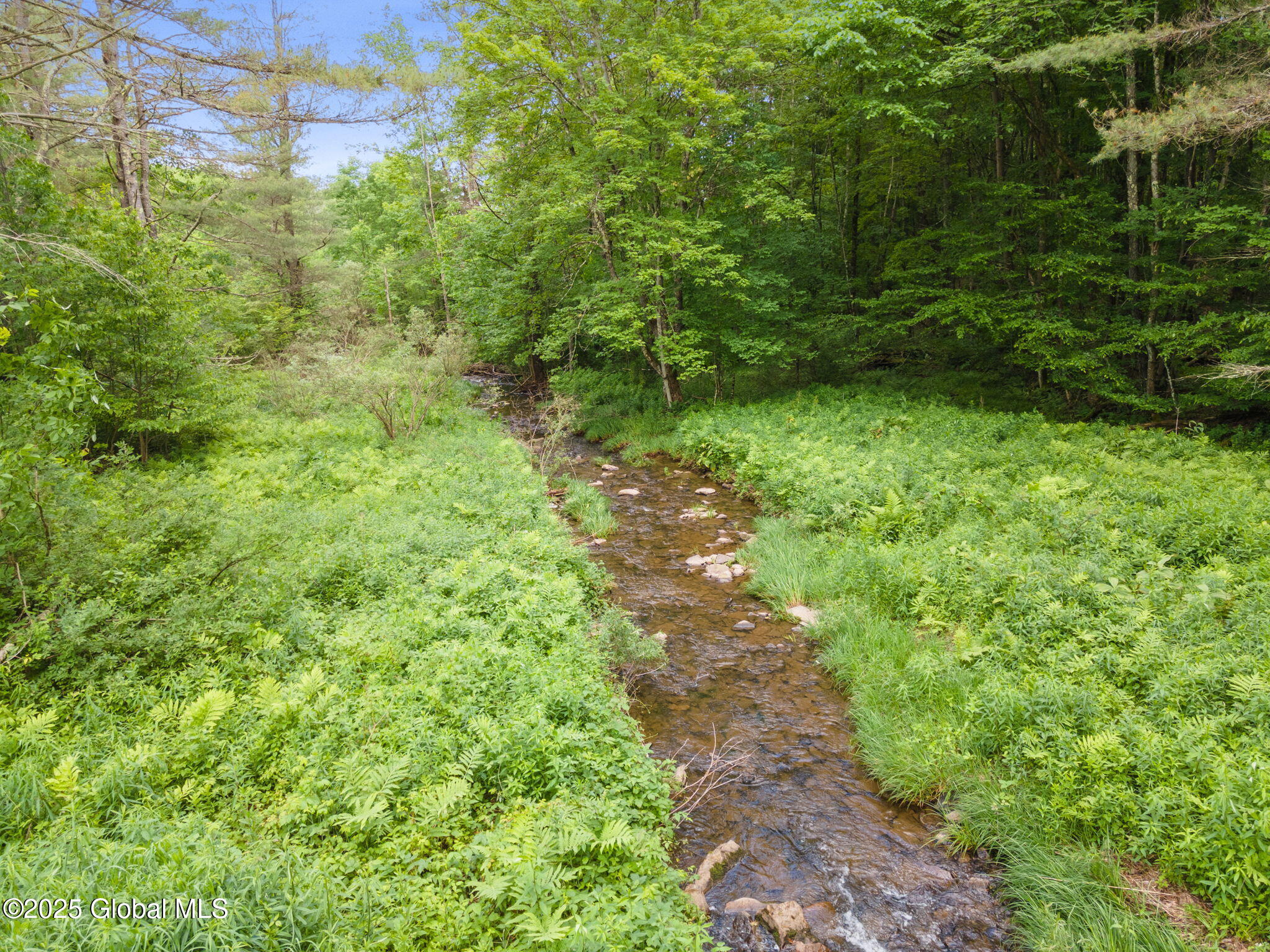 207 Dyer Road Jefferson, NY 12093 - Photo 50 of 56 48-207DyerRd_48