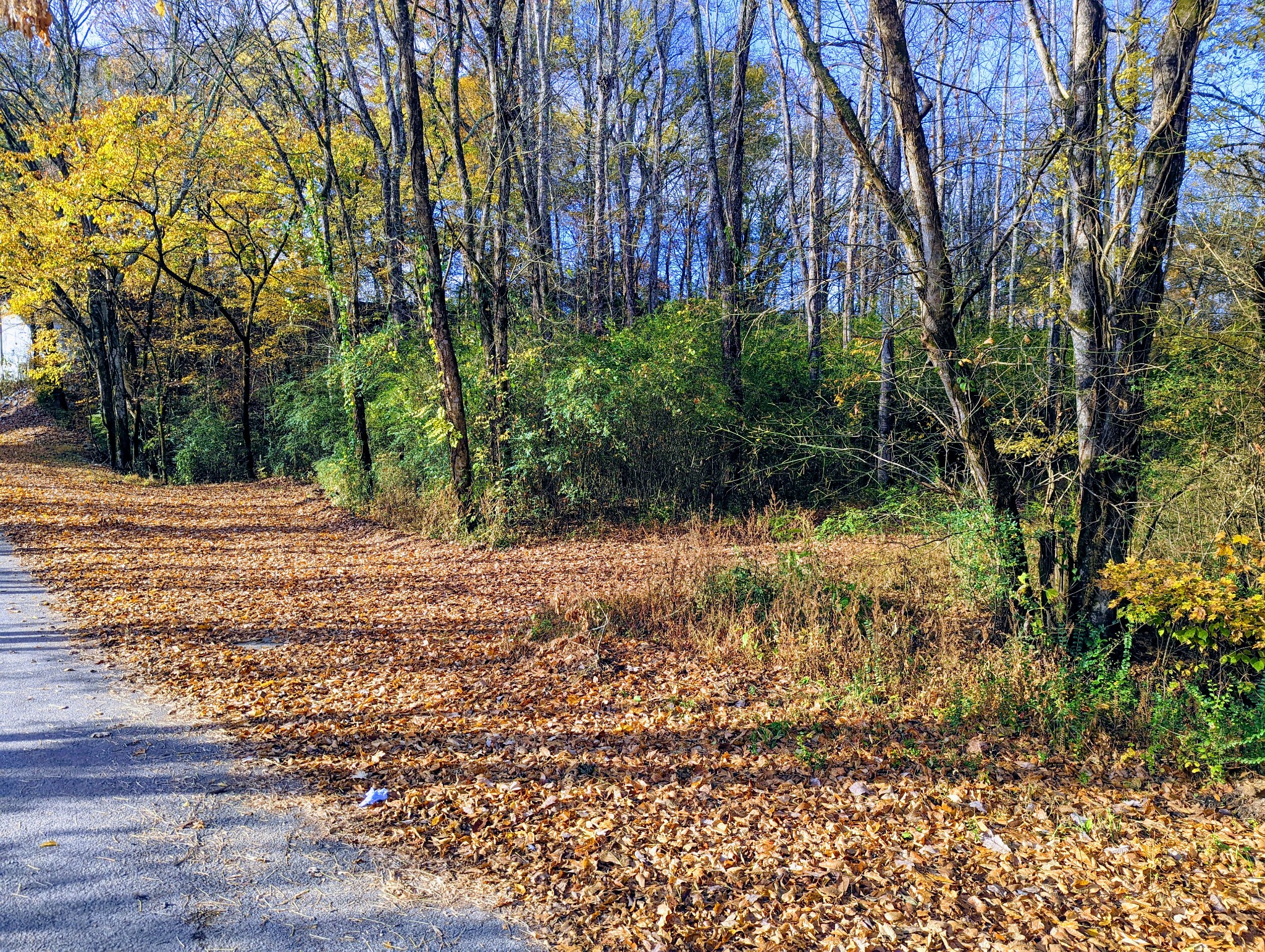 0 Rogers Road Centerville, TN 37033 - Photo 1 of 2 Gallery Image 1